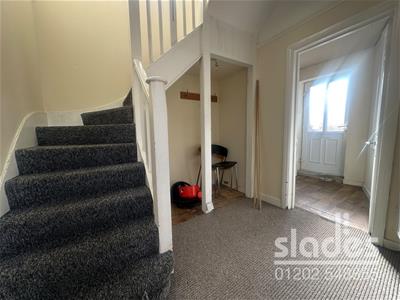 Picture 11
